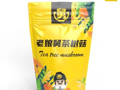 茶樹菇