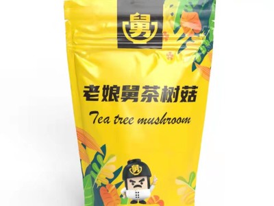 茶樹菇
